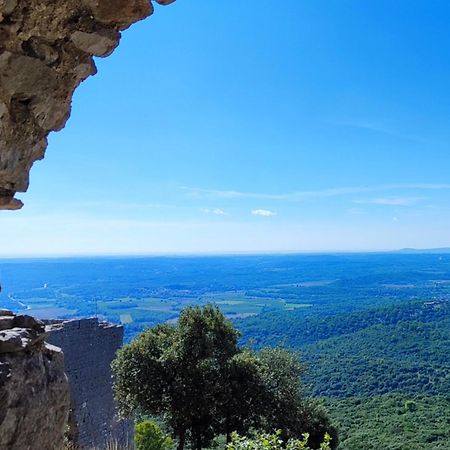 Le Castellas Du Pic St Loup Saint-Mathieu-de-Treviers Bagian luar foto
