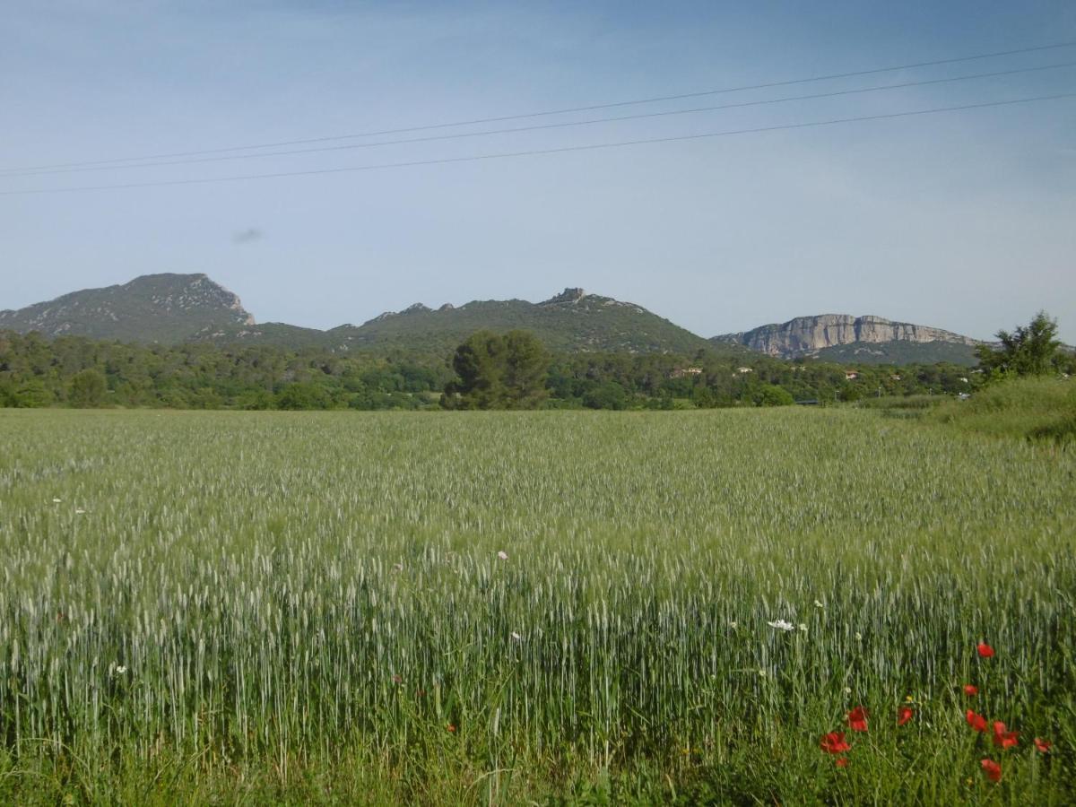Le Castellas Du Pic St Loup Saint-Mathieu-de-Treviers Bagian luar foto