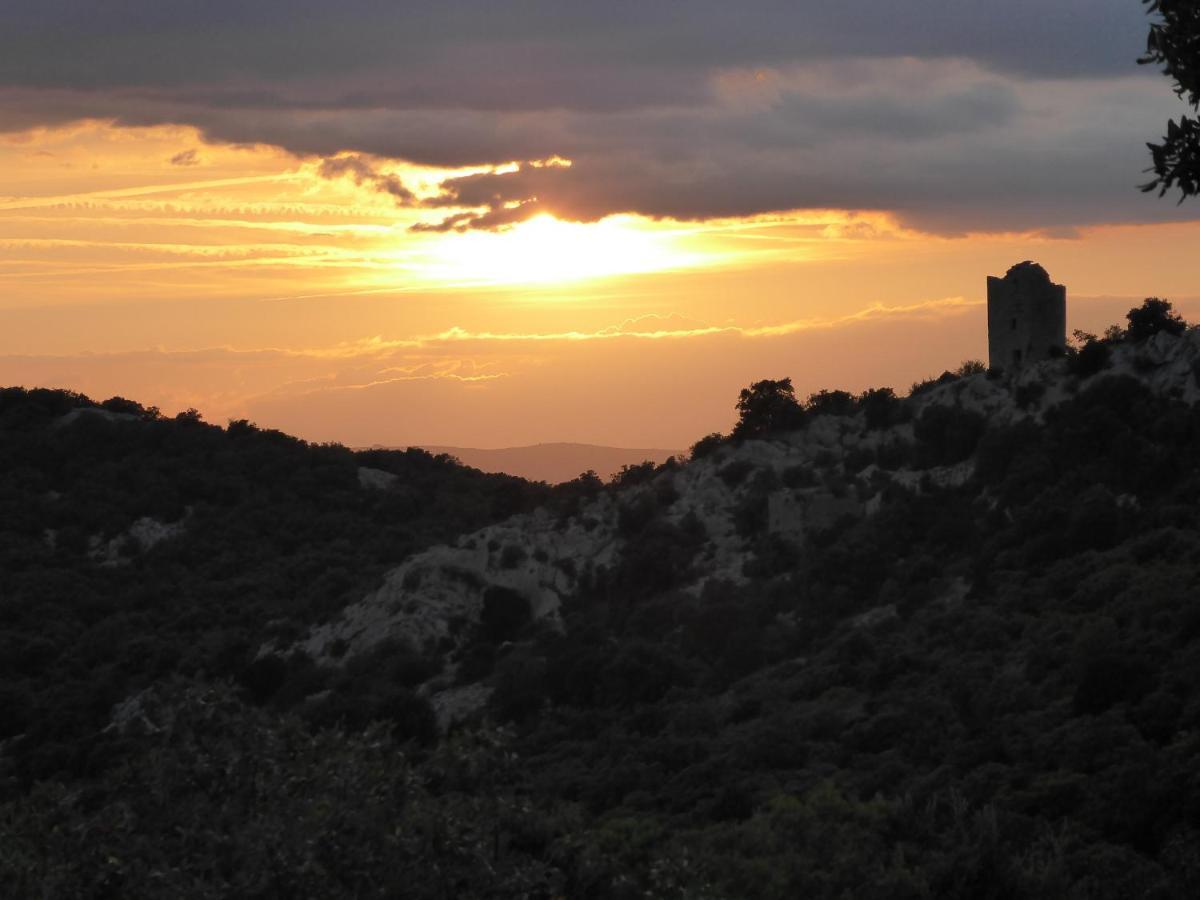 Le Castellas Du Pic St Loup Saint-Mathieu-de-Treviers Bagian luar foto