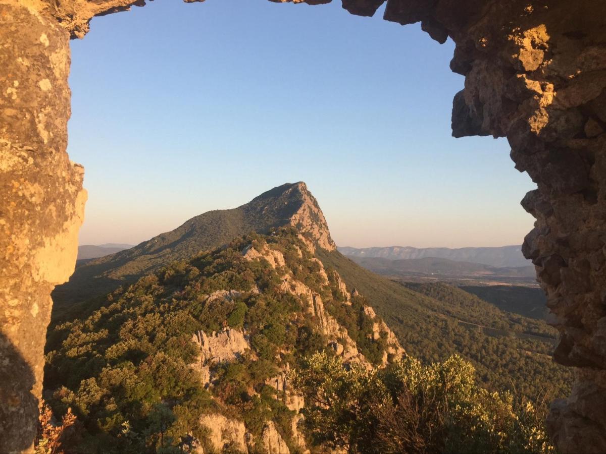 Le Castellas Du Pic St Loup Saint-Mathieu-de-Treviers Bagian luar foto