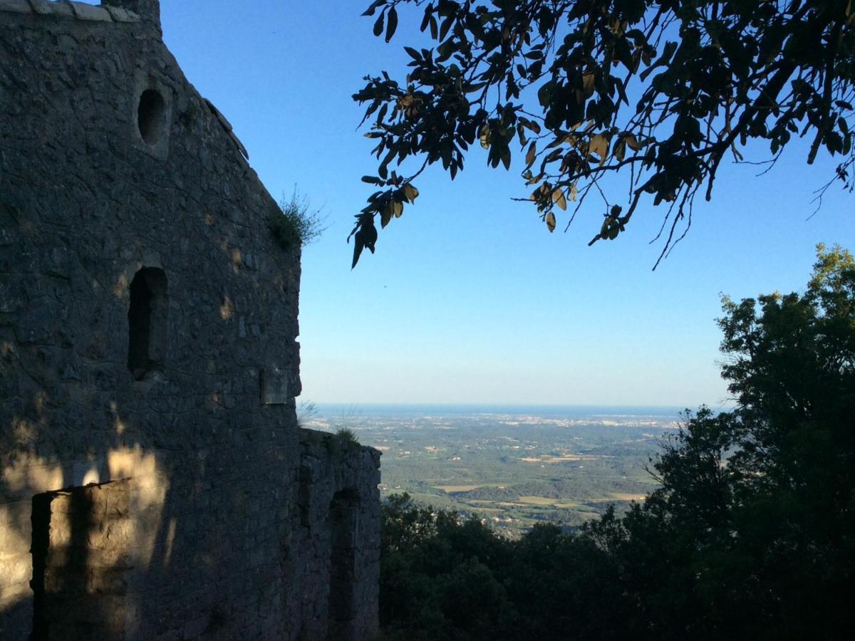 Le Castellas Du Pic St Loup Saint-Mathieu-de-Treviers Bagian luar foto