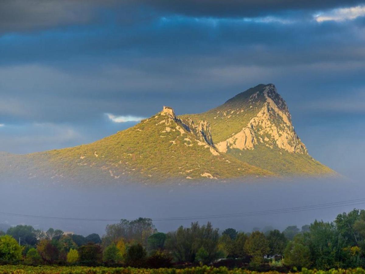 Le Castellas Du Pic St Loup Saint-Mathieu-de-Treviers Bagian luar foto