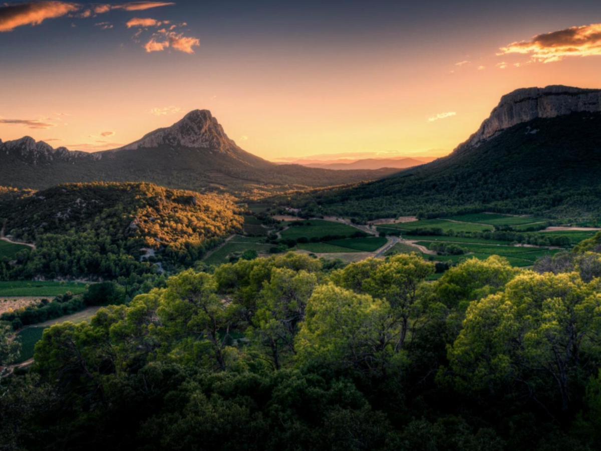Le Castellas Du Pic St Loup Saint-Mathieu-de-Treviers Bagian luar foto