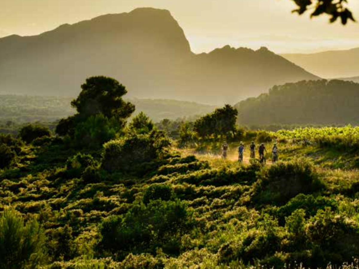Le Castellas Du Pic St Loup Saint-Mathieu-de-Treviers Bagian luar foto