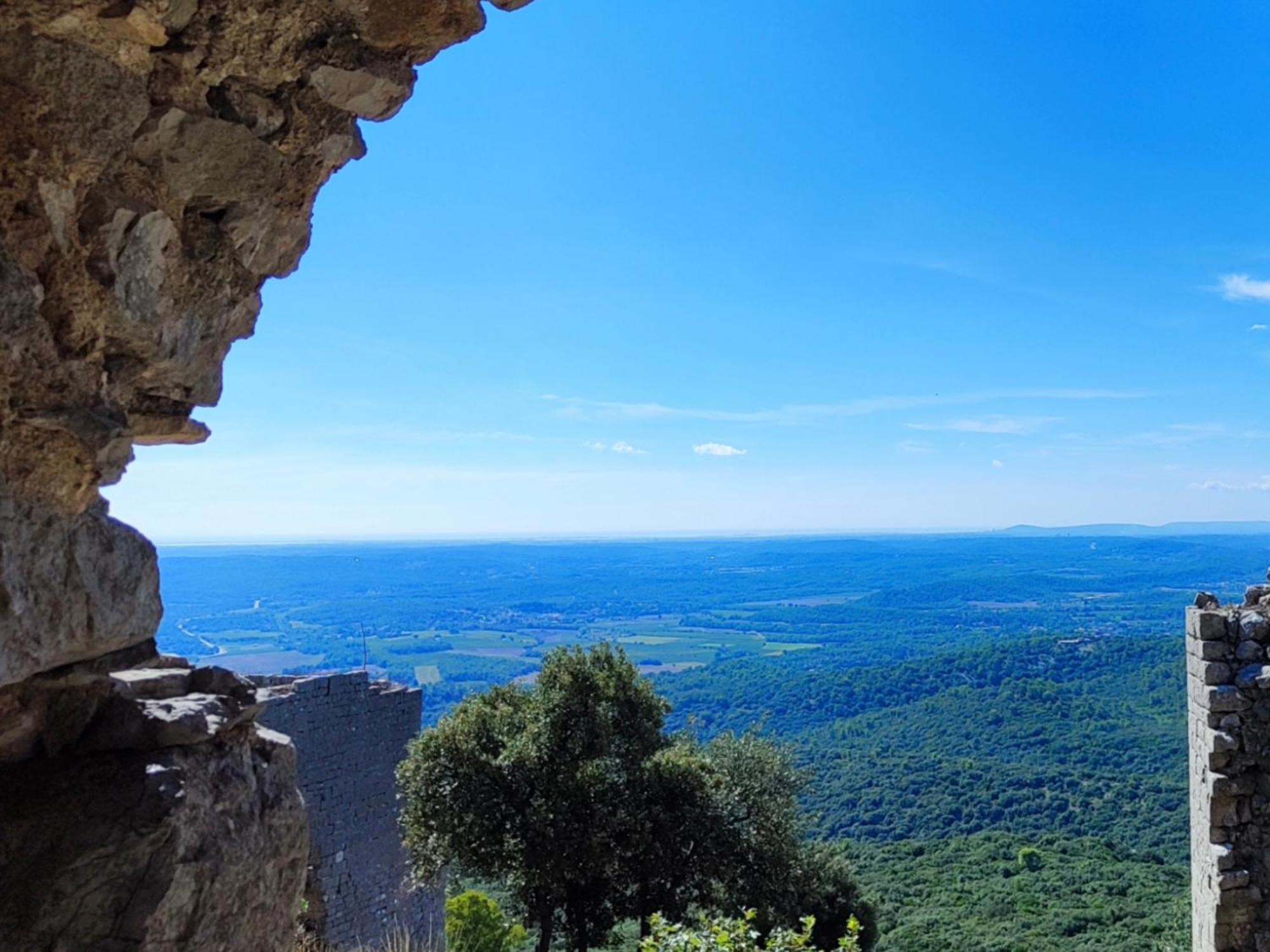 Le Castellas Du Pic St Loup Saint-Mathieu-de-Treviers Bagian luar foto